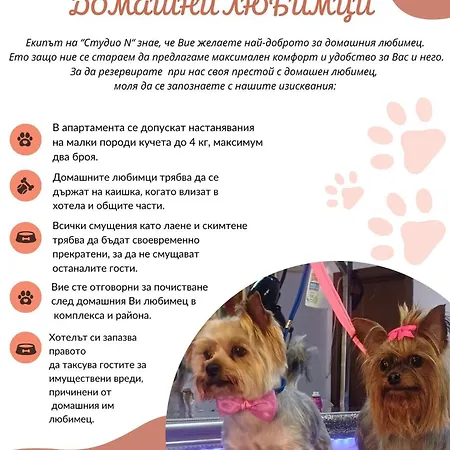 Apartmán N Primorsko